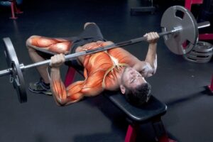Tendon Training